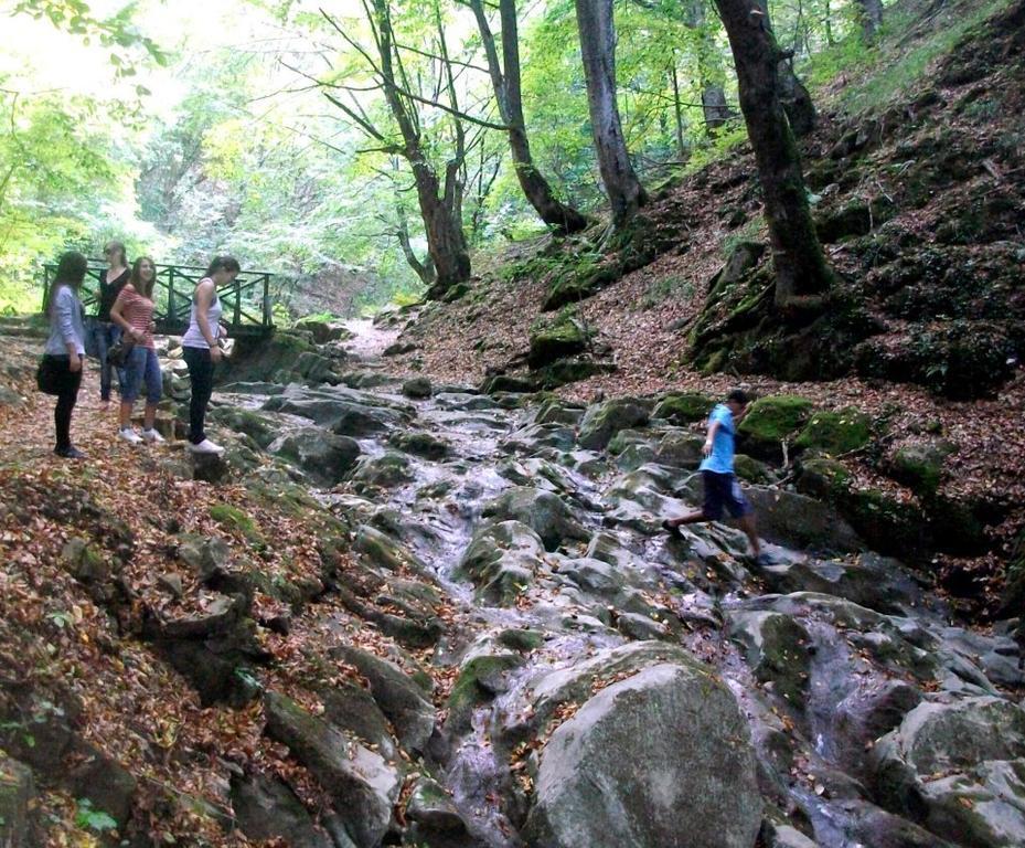 Olymp Hotel Teteven Dış mekan fotoğraf